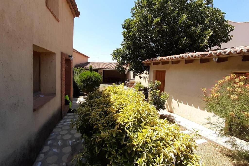 Casa Rural La Paloma - Zamora Manganeses de la Lampreana Exterior foto